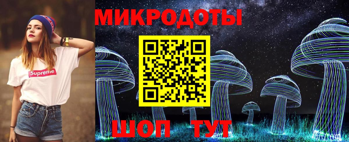 Псилоцибиновые грибы Cubensis Грязи