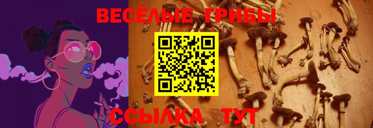 Грязи  Псилоцибиновые грибы прущие грибы  Вход с VPN 
